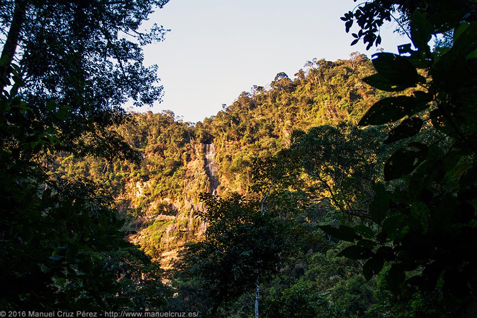 Selva alta cerca de la catarata de Ahuashiyacu, Cordillera Escalera.